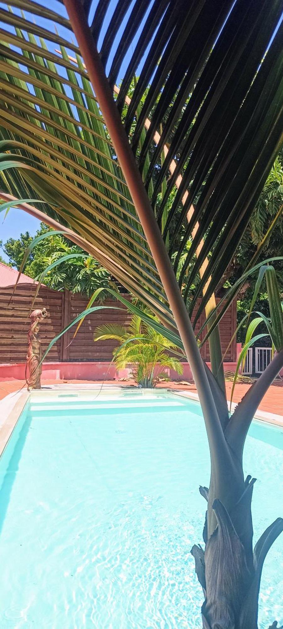 La Canopee Enchantee, Chambres D'Hotes, Piscine, Proche Aeroport, Gare Maritime Лес Абимес Екстериор снимка